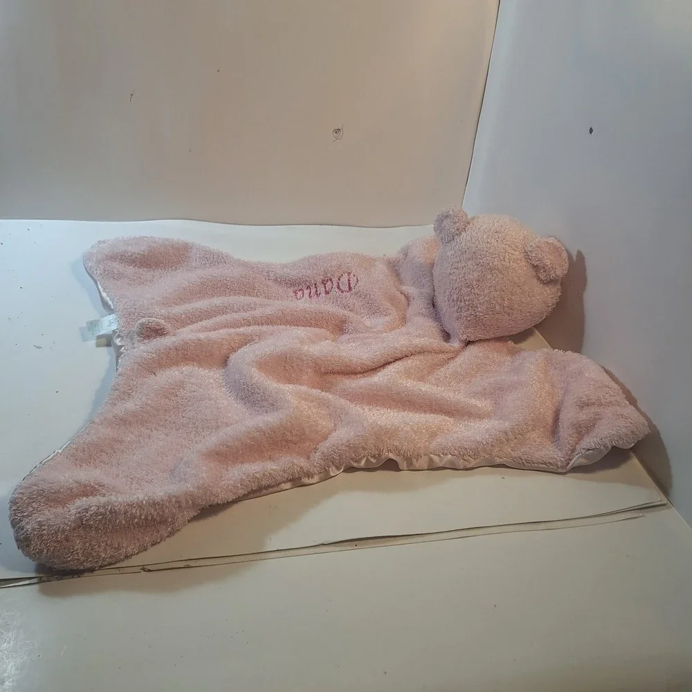 Baby Gund Sweekins Comfy Cozy Hideaways Pink Teddy Bear Satin‎ Pillow Lovey Zip